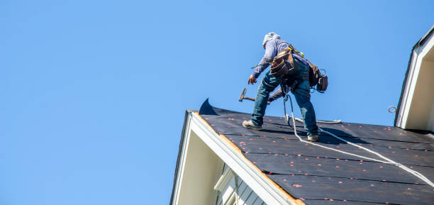 Best Roof Maintenance Services  in Heyville, AL